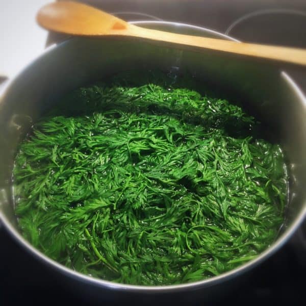 Carrot Tops Blanching in Boiling Water