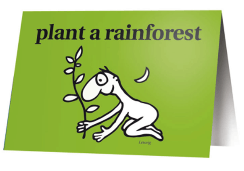 Plant a Rainforest
