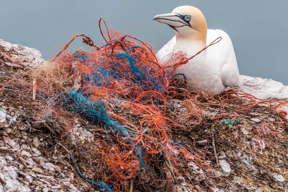 Plastic Fishing Nets