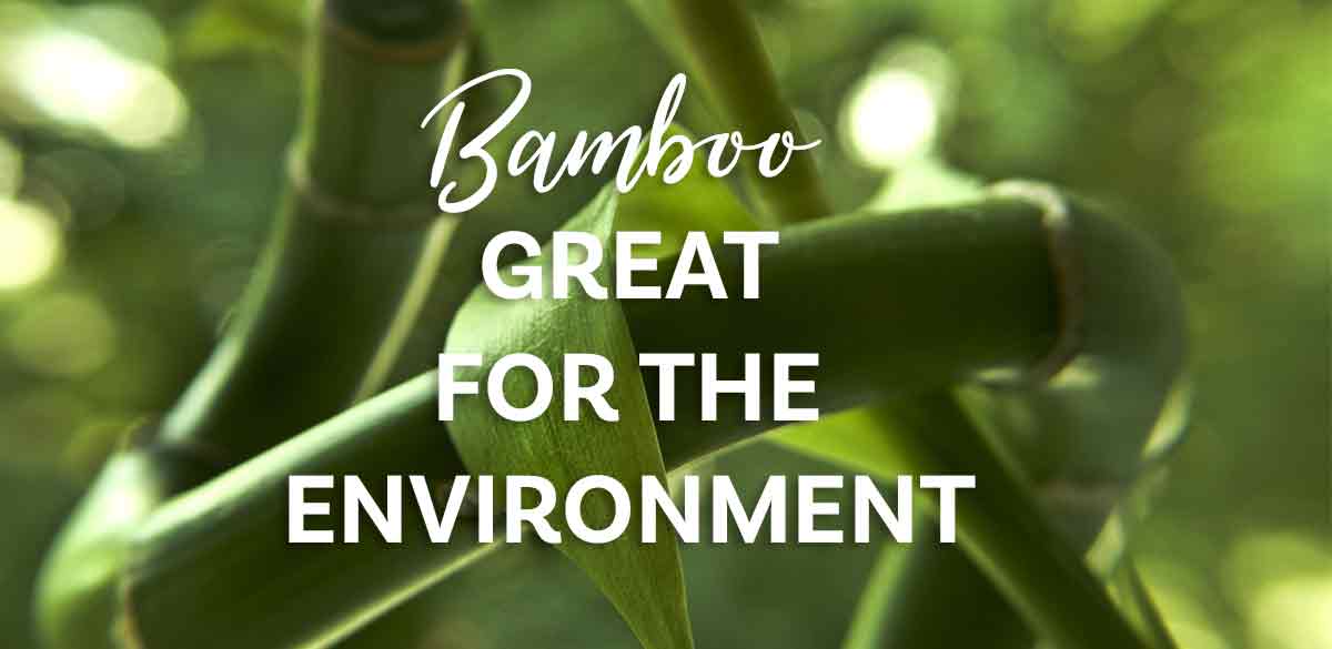 Bamboo Great for Environment