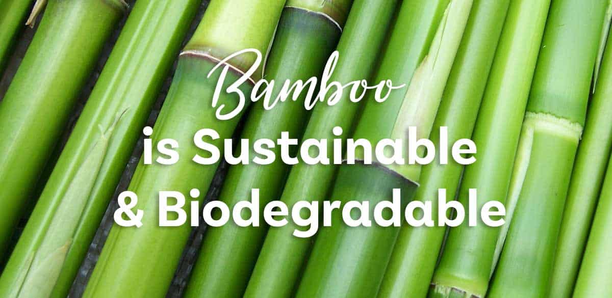 Bamboo is Sustainable